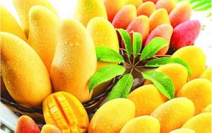 frutas-y-mango
