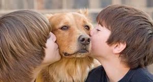 perro1